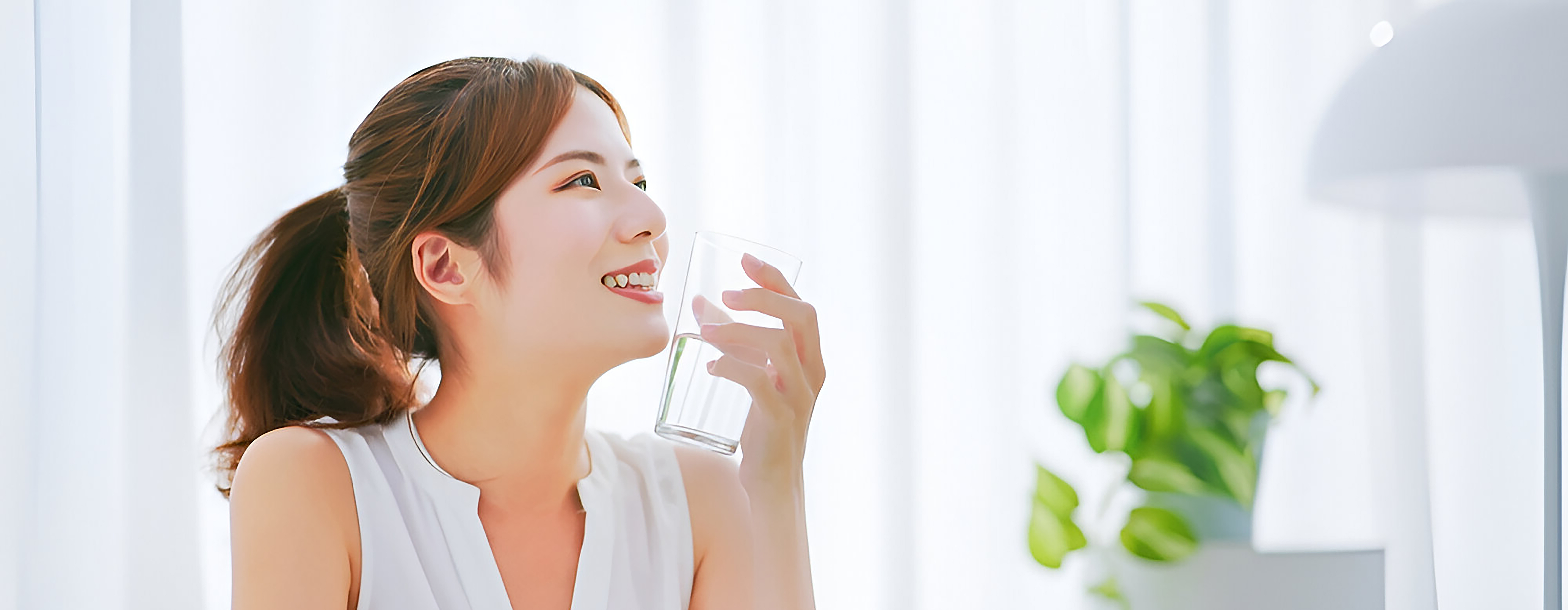 Tips and Care Banner